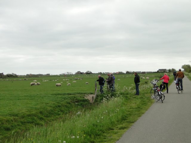 HWK Texel 127.jpg